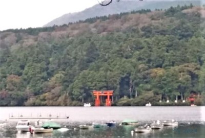 Torii des Hakone Schreins.JPG