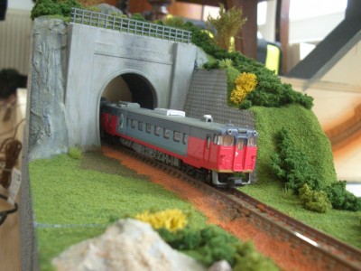 CIMG0239ff.jpg (531.54 KiB) 17888 mal betrachtet Series Kiha400-500 `Ozashiki`