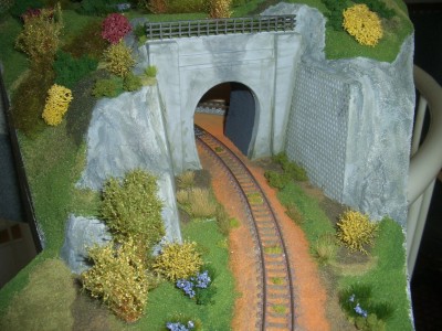 CIMG0312ff.jpg (545.52 KiB) 26374 mal betrachtet Tunnelmodul