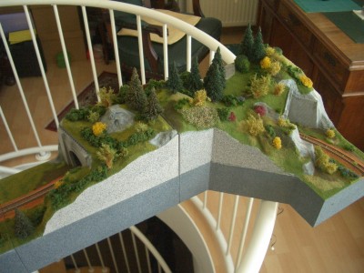 CIMG0317ff.jpg (546.55 KiB) 26552 mal betrachtet Beide Tunnelmodule