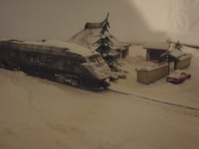Bild 1: Tsubame im Schnee (hell)