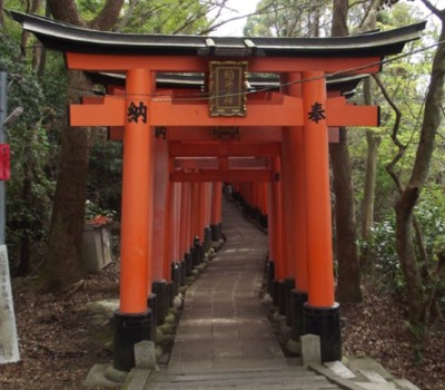 Torii Fushimi Inari Kyoto.JPG
