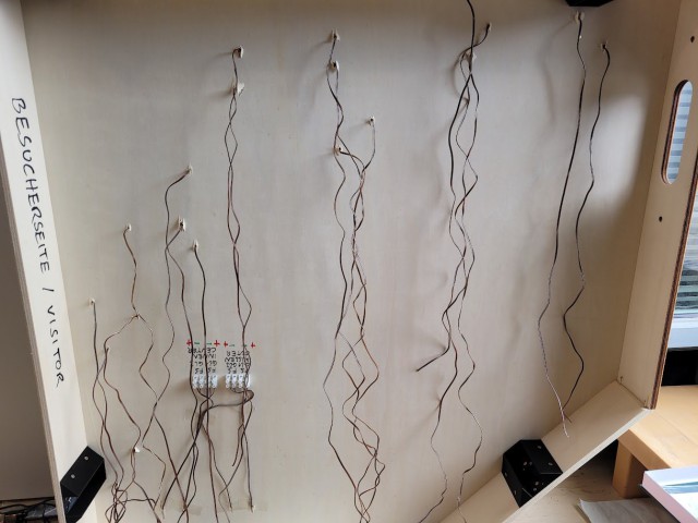 20260905_115654.jpg
