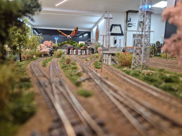20260925_211936.jpg